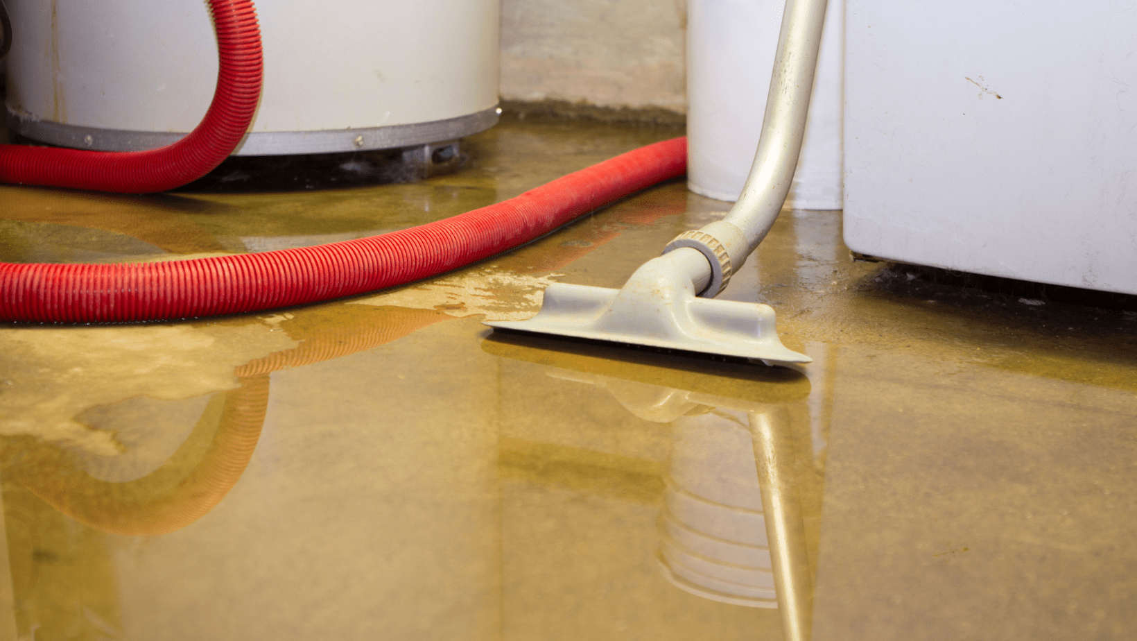 Water Damage Cleanup Cedar City Ut