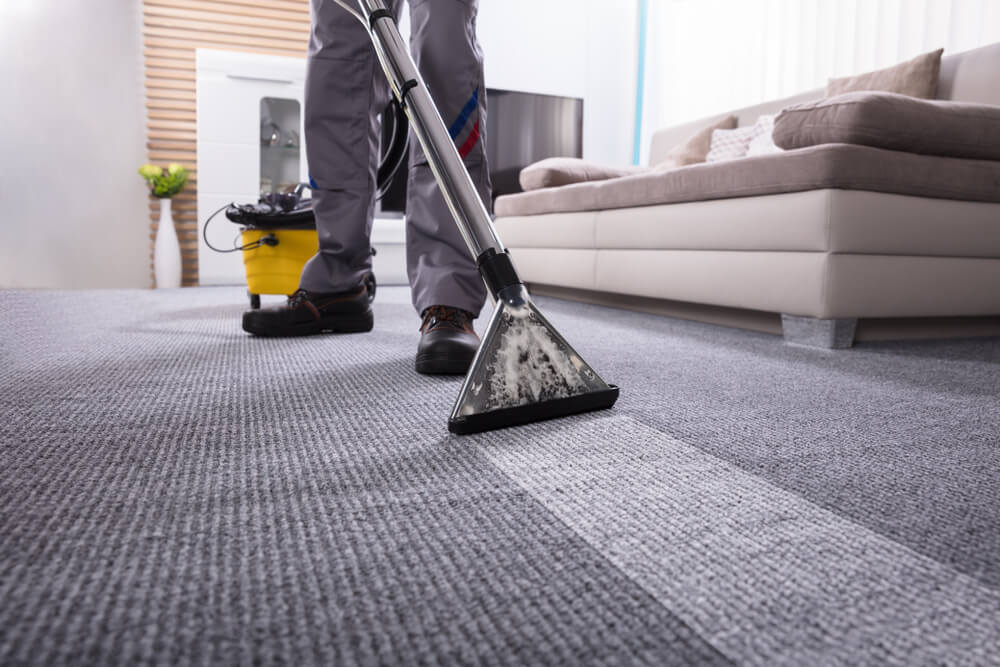 springfield lakes carpet cleaning